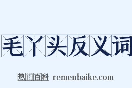 毛丫头反义词是什么意思的图片